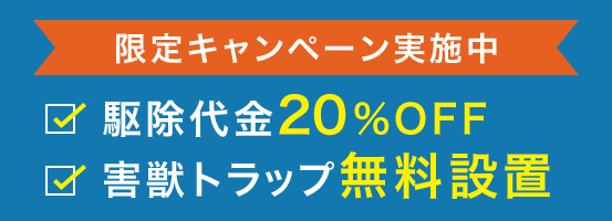 限定キャンペーン実施中 駆除代金20%OFF 害獣トラップ無料設置