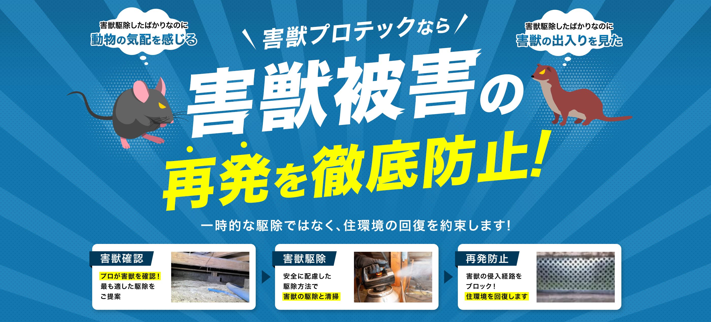 害獣プロテックなら害獣被害の再発を徹底防止！ 一般的な駆除ではなく、住環境の回復を約束します！ 害獣駆除したばかりなのに動物の気配を感じる 害獣の出入りを見た 害獣確認 プロが害獣を確認！最も適した駆除をご提案 害獣駆除 安全に配慮した駆除方法で害獣の駆除と清掃 再発防止 害獣の侵入経路をブロック！ 住環境を回復します